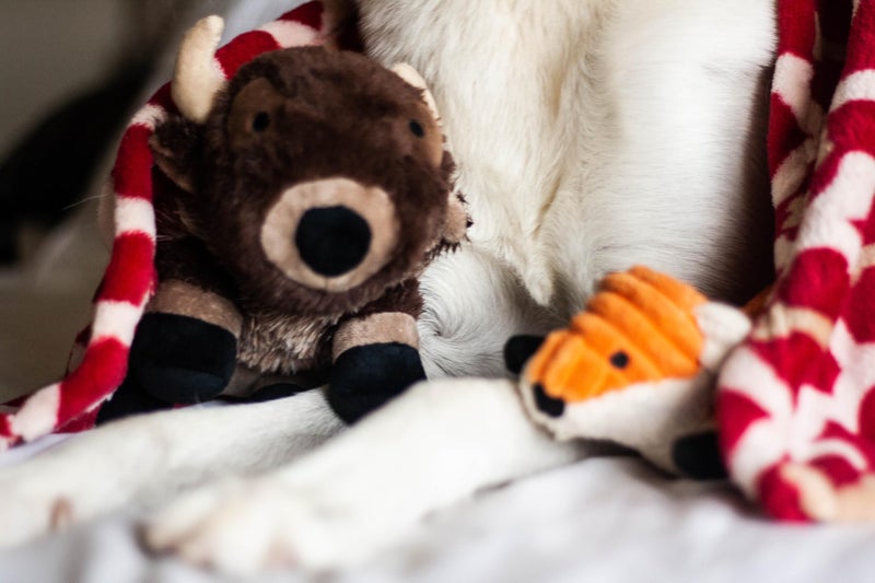 Tall Tails Buffalo with Squeaker Toy for Dogs - Image 5